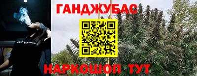 прущие крисы Партизанск